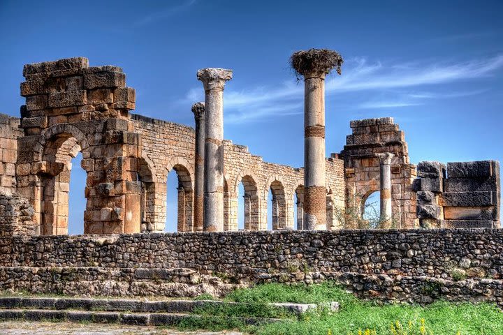 Fes to volubilis day trip image