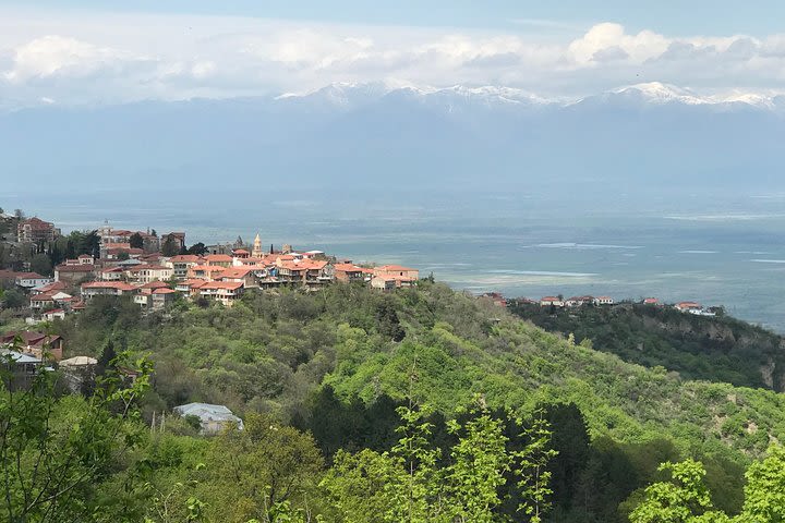 2 Days Private Organic Wine Tour to Kakheti Region via Rustavi and David Gareja image