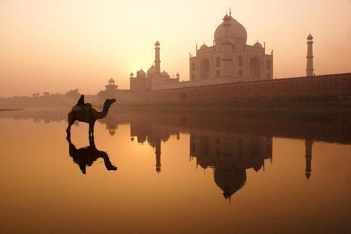 Golden Triangle Tour Packages 2 Nights 3 Days image