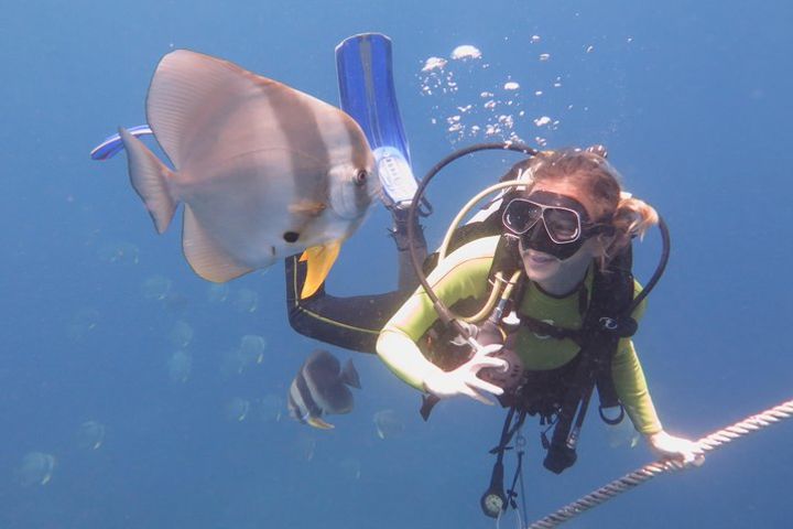 Extend your diving limits in 2 days - PADI Advanced Diver Course image