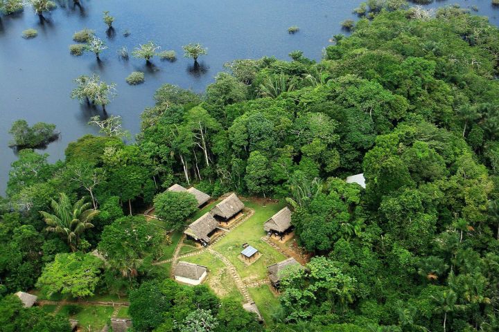 5-Day Amazon Adventure in Cuyabeno image