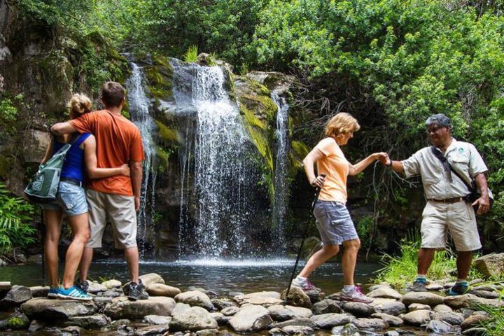 Kohala Waterfalls Small Group Adventure Tour image