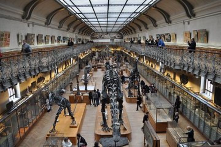 Dinosaurs Family Tour in the Natural History Museum of Paris image