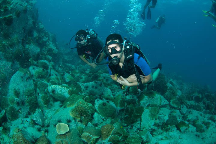 Diving at Koh Chang, daytrip with 2 dives image