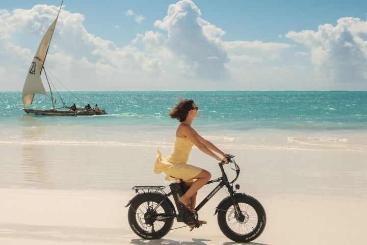 Zanzibar Island & Selous Safari Adventure image