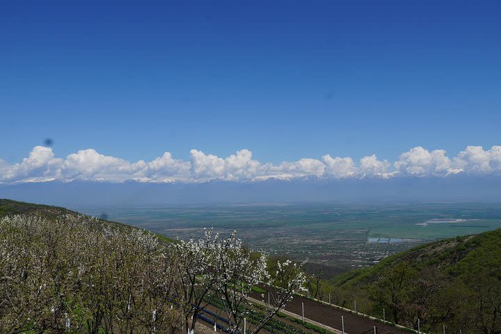 Enticing Georgia Tour (Bodbe, Sighnaghi, Kidzmarauli, Shumi, Gombori pass)  image