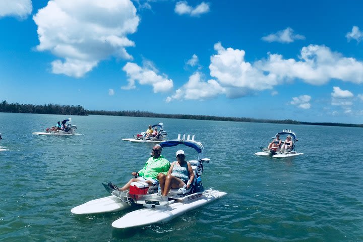 Backwater Adventure's CraigCat Tours of the 10,000 Islands image