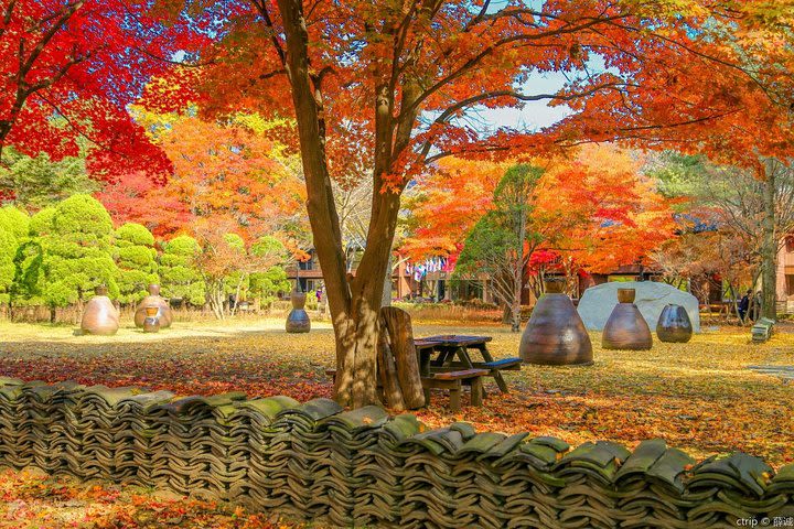 Private Trip to Nami Island and Ski Resort image