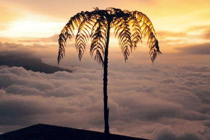 Visit to Chicaque Natural Park Private Tour from Bogotá. (8 Hrs.) image