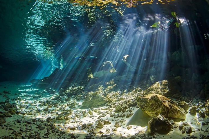 Diving package Cenotes discovery image