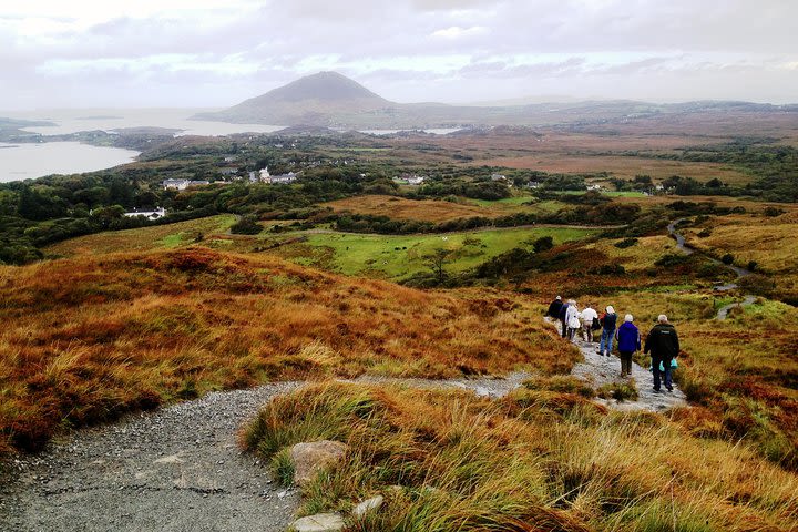 Connemara National Park Nature Trails self-guided including Lunch image