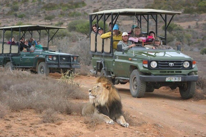 3 Day Budget Kruger National Park Safari - From Johannesburg image