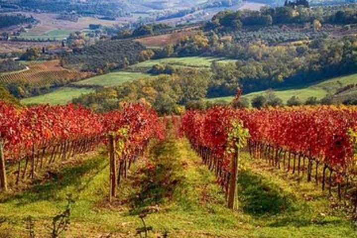 Tuscany Landscapes, Castels & Chianti Wine District image