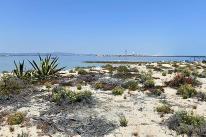 4-Hour Private Boat Tour in Ria Formosa image