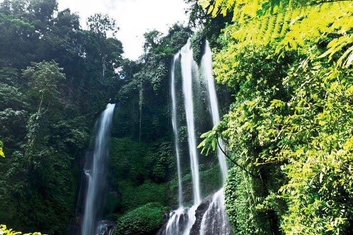 Best Of Bali Lemukih Waterfall Trekking image