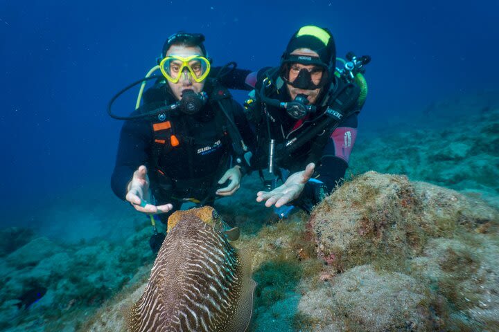 Discover Scuba Diving, Playa de las Americas image