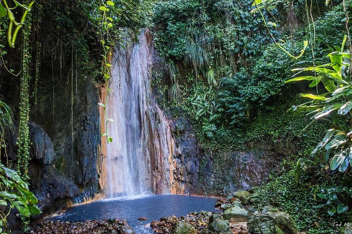 St. Lucia Botanical Gardens and Waterfall Tour image