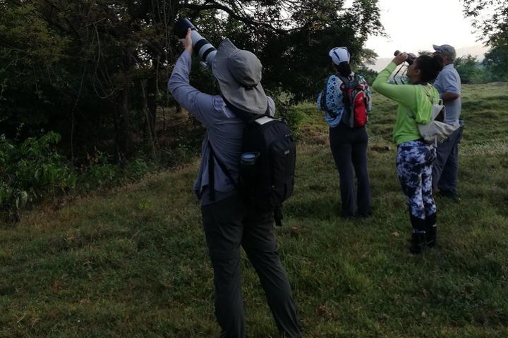 Private Bird Walking Tour in El Salvador image