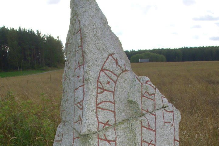 Viking History Tour from Stockholm image