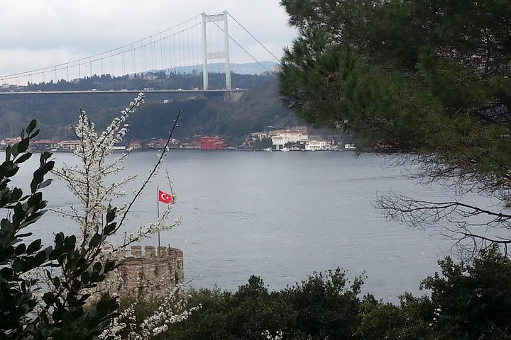 Istanbul Old City Guided Tour Blue Mosque, Topkapi Palace, G. Bazaar with lunch image