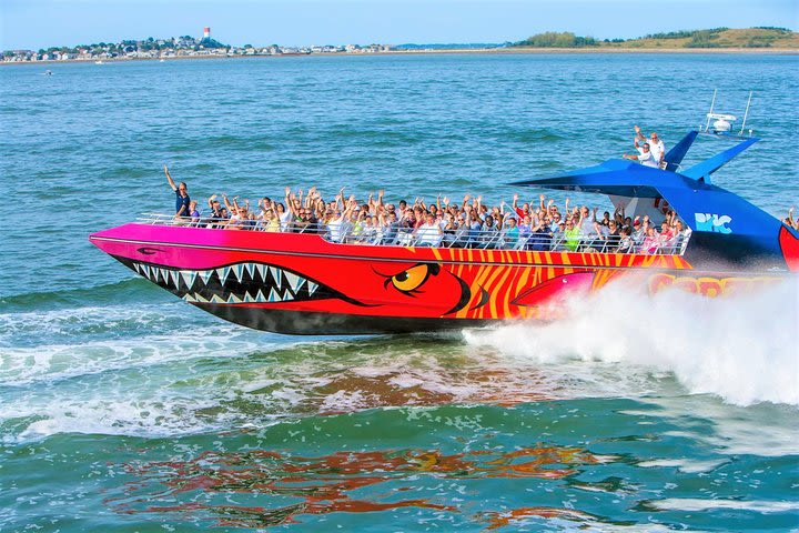 Boston Codzilla High-Speed Thrill Boat Ride image