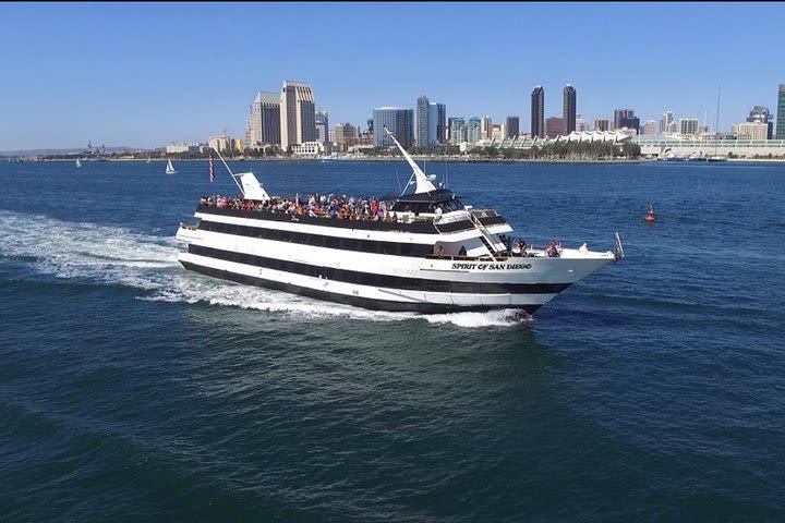 San Diego Harbor Cruise image