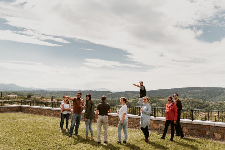 Wine Tour on the Coast image