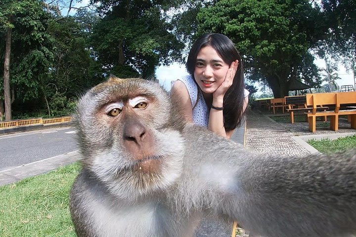 Bali Most Instagram Photos Spot Trip image