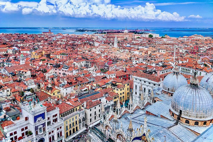 Venice Skip the line St Mark's Basilica tour  image