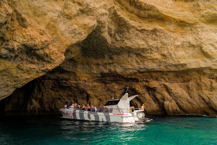 Dolphin Watching and Cave Boat Cruise from Albufeira image
