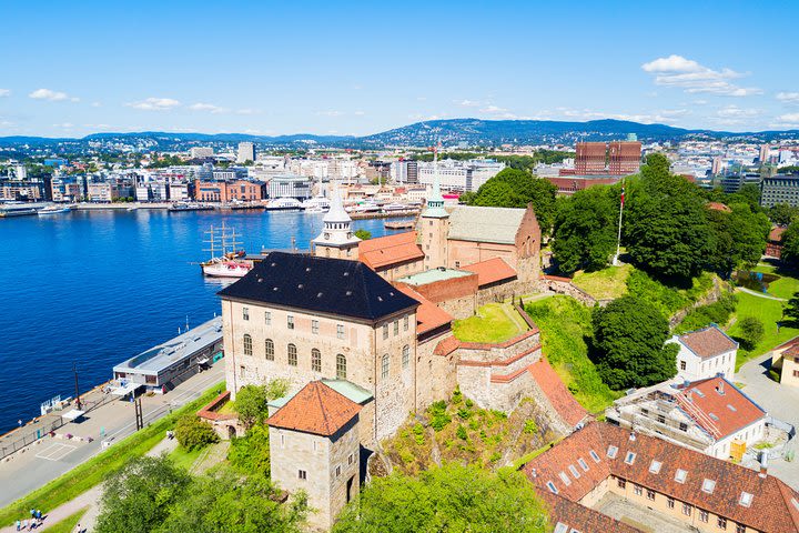 Oslo Private Panoramic Tour image