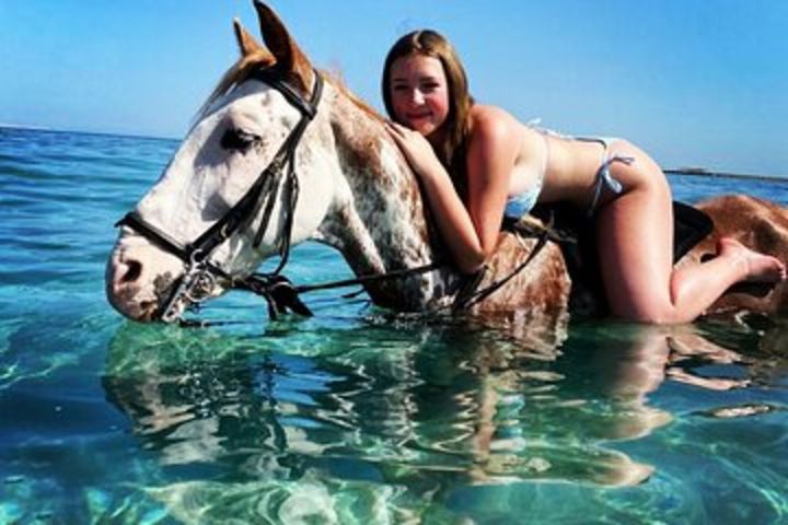 2 hours Horse Riding One Hour Riding on The sea and one Hour in Desert- Hurghada image