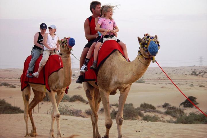 Abu Dhabi Morning Desert Safari with Camel Ride & Sandboarding image