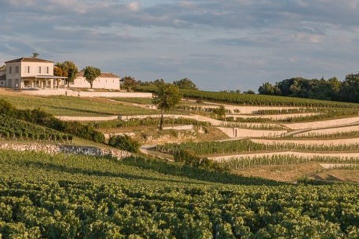 Saint Emilion Wine Tour Half Day Trip From Bordeaux (shared) image