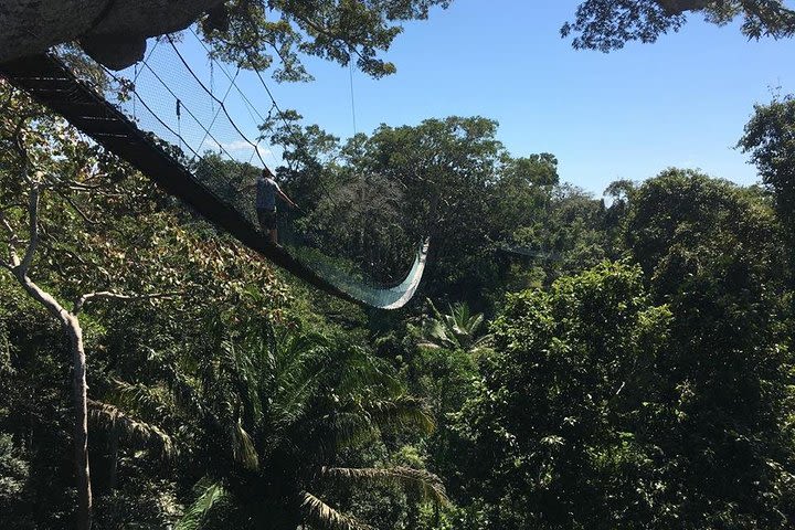 Monkey island , kayak , canopy bridge and zipline image