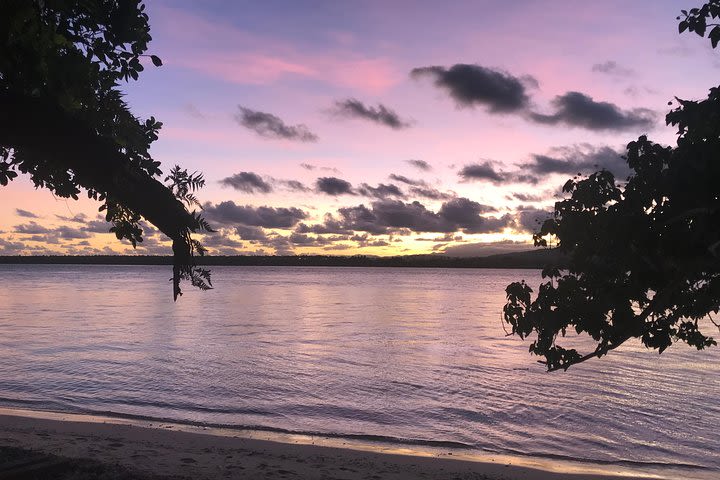 Sunset Drinks and Kava Tasting  image