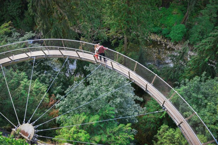 Vancouver to Whistler Day Trip with Sea-to-Sky Gondola image