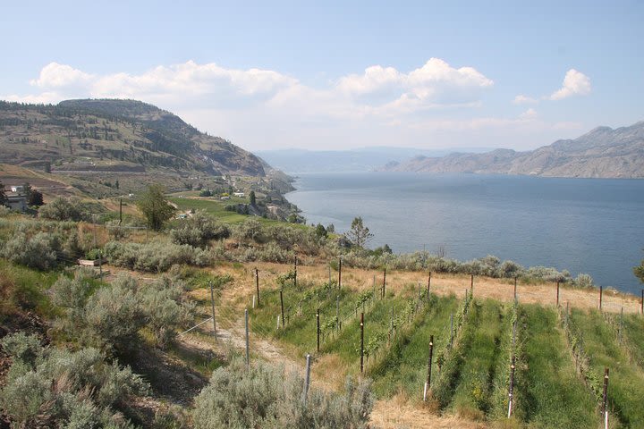 Wine Tour through Summerland Bottleneck Drive, Okanagan Valley, British Columbia image