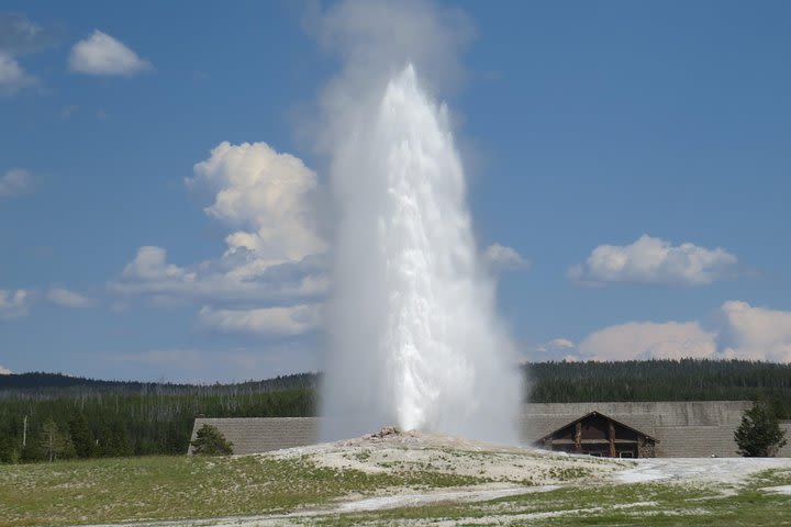 Yellowstone National Park - Full-Day Lower Loop Tour from West Yellowstone image
