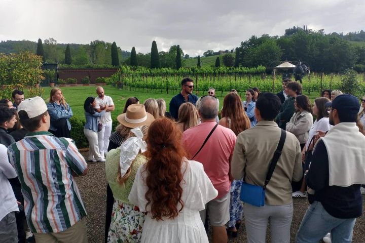 Chianti Half-Day Wine Tasting Tour from Siena image