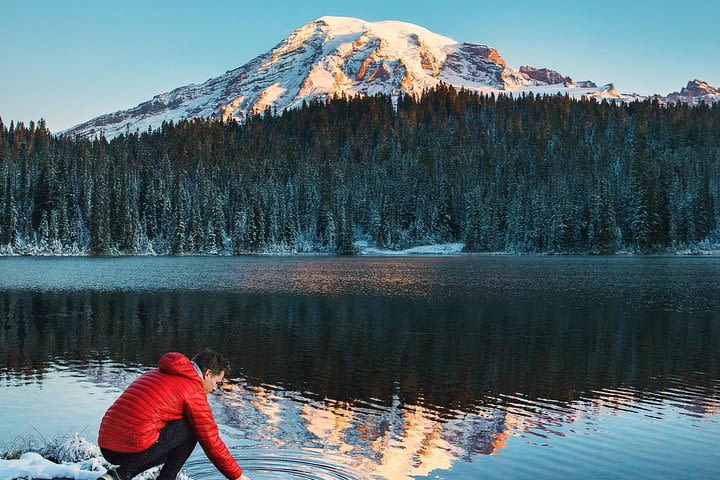 Best of Mount Rainier National Park from Seattle: All-Inclusive Small-Group Tour image