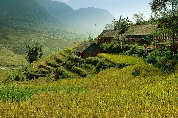 Sapa Verdant Landscape 2 Days 1 Night from Ha Noi - overnight in hotel image