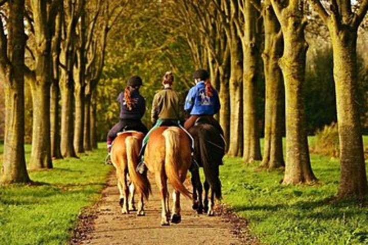 Umbria - Horse Riding Through The Wonderful Valleys Of Umbria, Lunch Included image