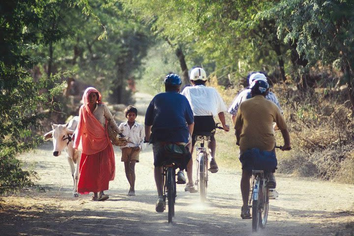 All Inclusive Cycling trip to the Teeth Mountain from Khajuraho image