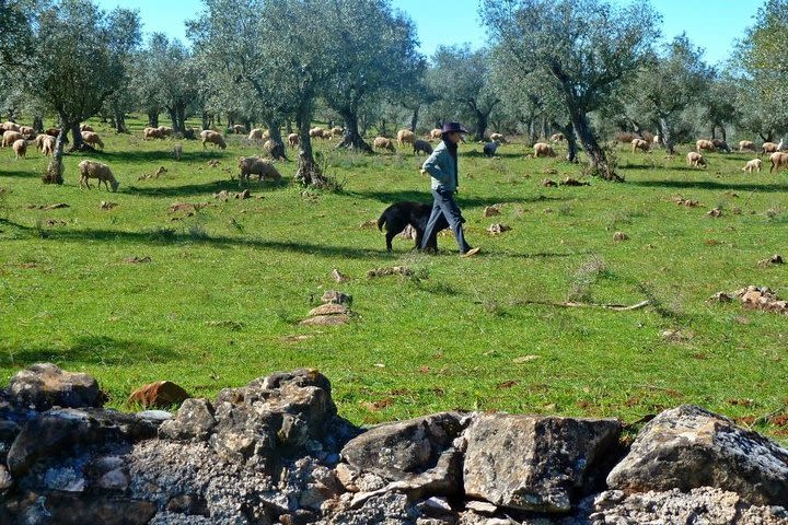 Unique Alentejo Bike tour image