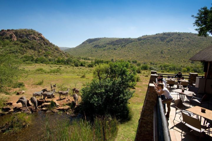 4-Day Pilanesberg Safari at Kwa Maritane Lodge image