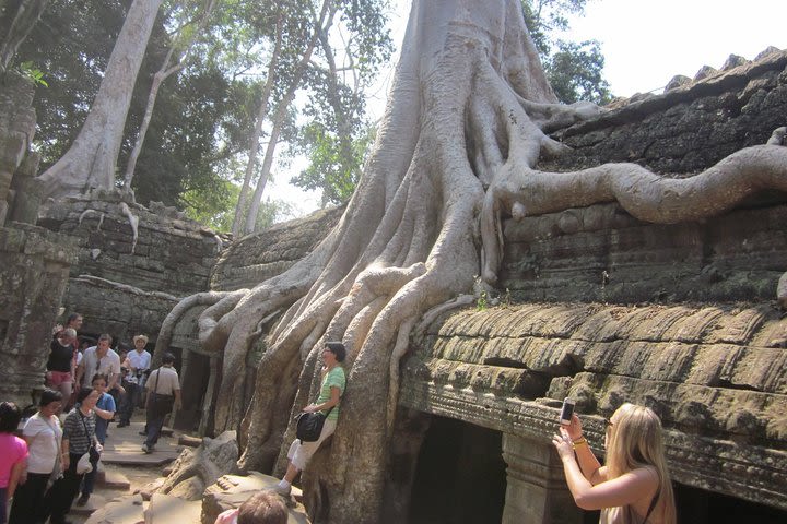 1day-tour Of Angkor Temple image