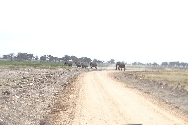 3 Days Safari start in Nairobi - Amboseli - Tsavo West - End in Mombasa image