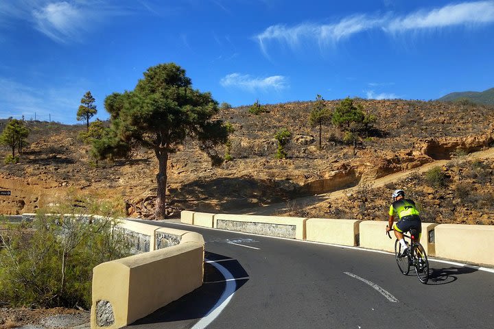 Road Cycling Tenerife - East Coast Route image