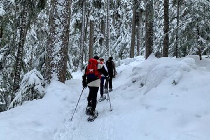 Whistler Lost Lake Snowshoeing and Village Tour image